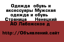 Одежда, обувь и аксессуары Мужская одежда и обувь - Страница 2 . Ненецкий АО,Лабожское д.